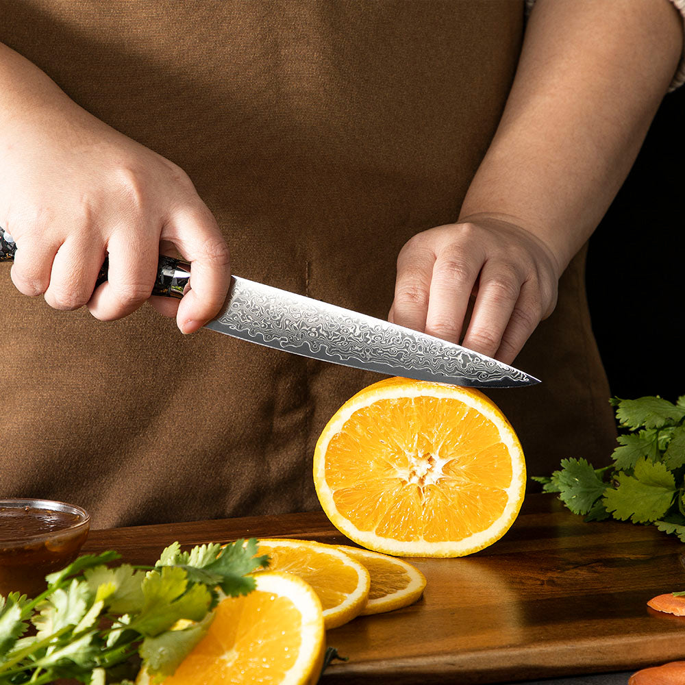 Profesionální drobný nůž, Hikari - čepel z damaškové oceli VG -10, pryskyřicová rukojeť Full Tang, malý kuchyňský nůž - Hikari